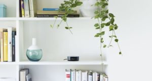 Der Amazon Echo Dot im Bücherregal