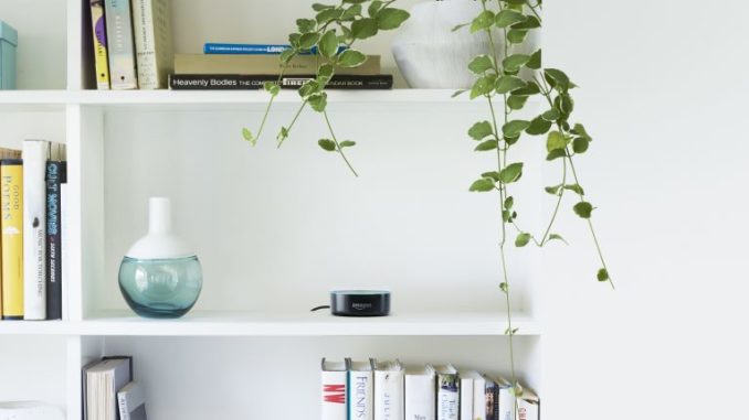 Der Amazon Echo Dot im Bücherregal