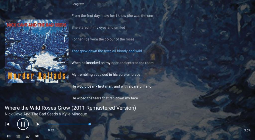 Amazon Music Unlimited Songtext